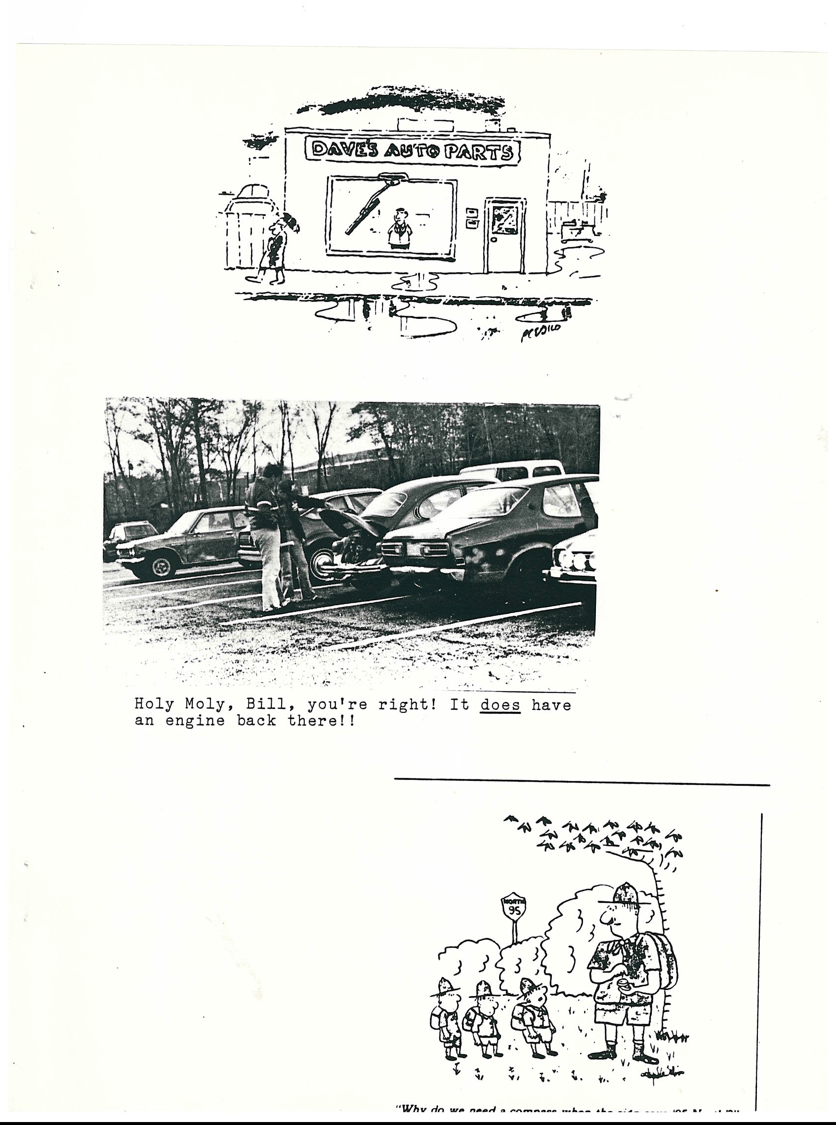 Roaring Borealis 1982